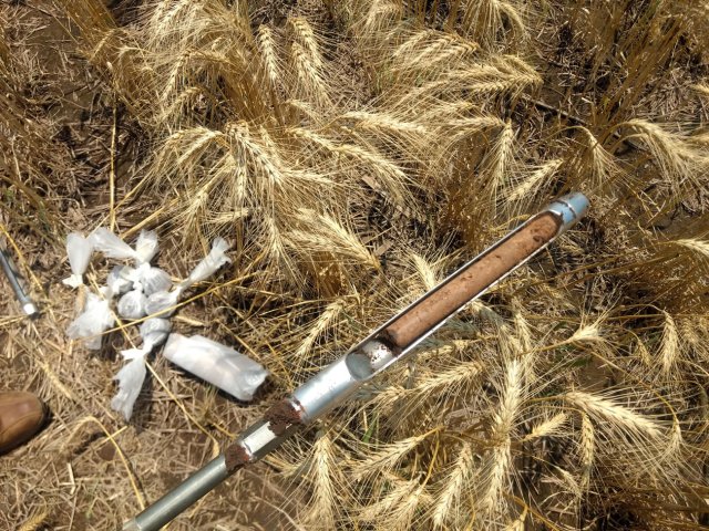 img_20191101_120506611